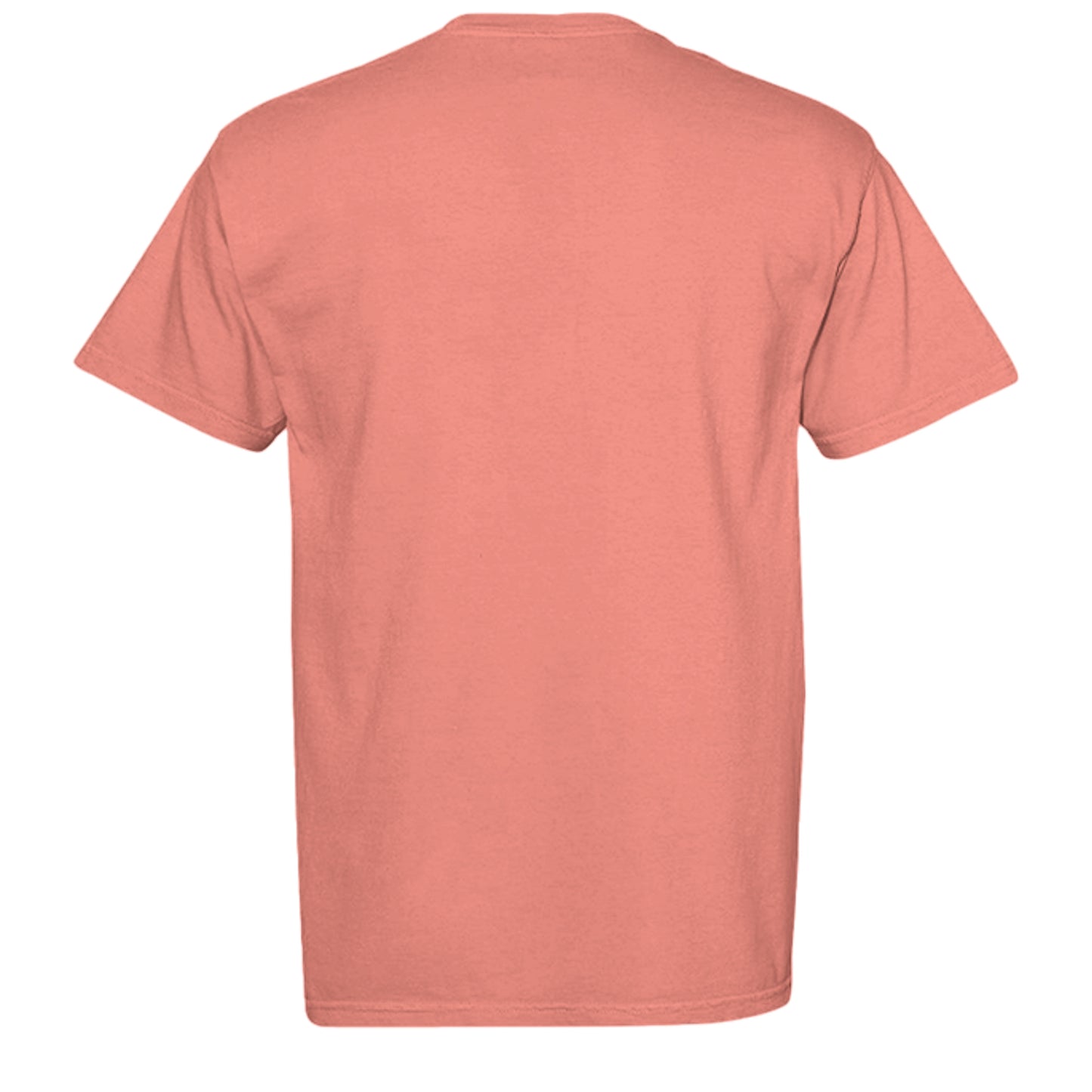 BRIGHT SALMON - C1717 - BACK