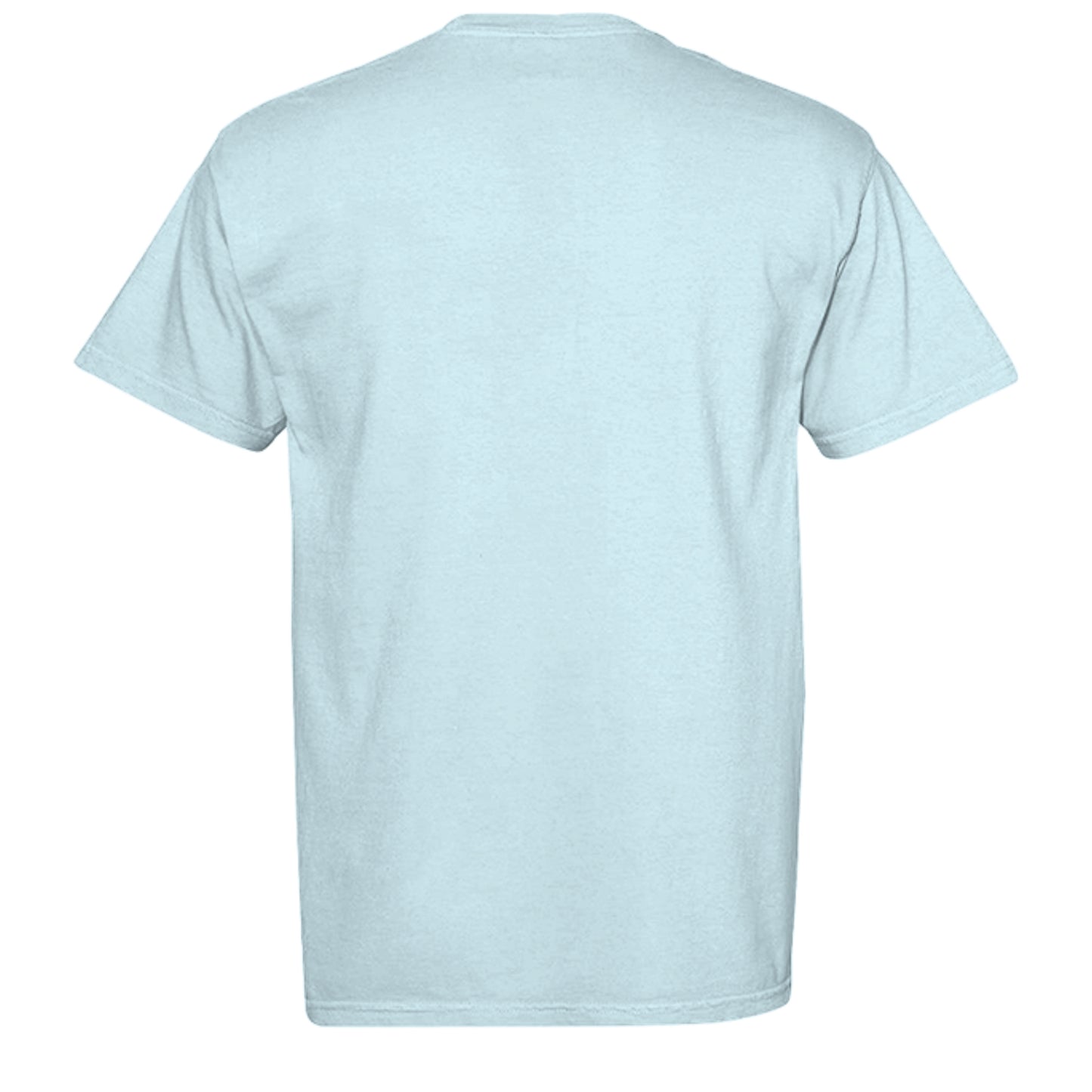 CHAMBRAY - C1717 - BACK